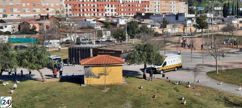 Gran colaboración entre voluntarios y autoridades en la búsqueda de desaparecida en Badajoz
