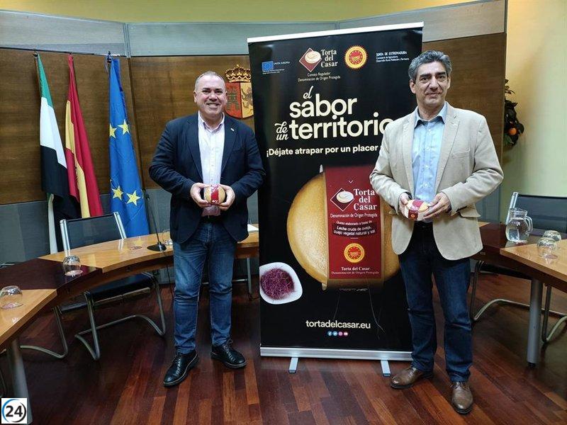 La DOP Torta del Casar incrementa su facturación en un 8,8% y supera los 10 millones de euros en 2023.