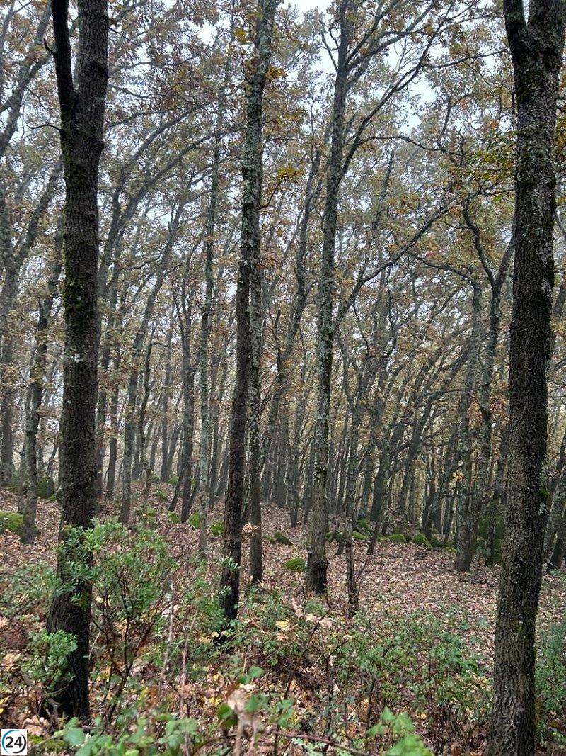 El clima en Extremadura este sábado, 2 de marzo de 2024.