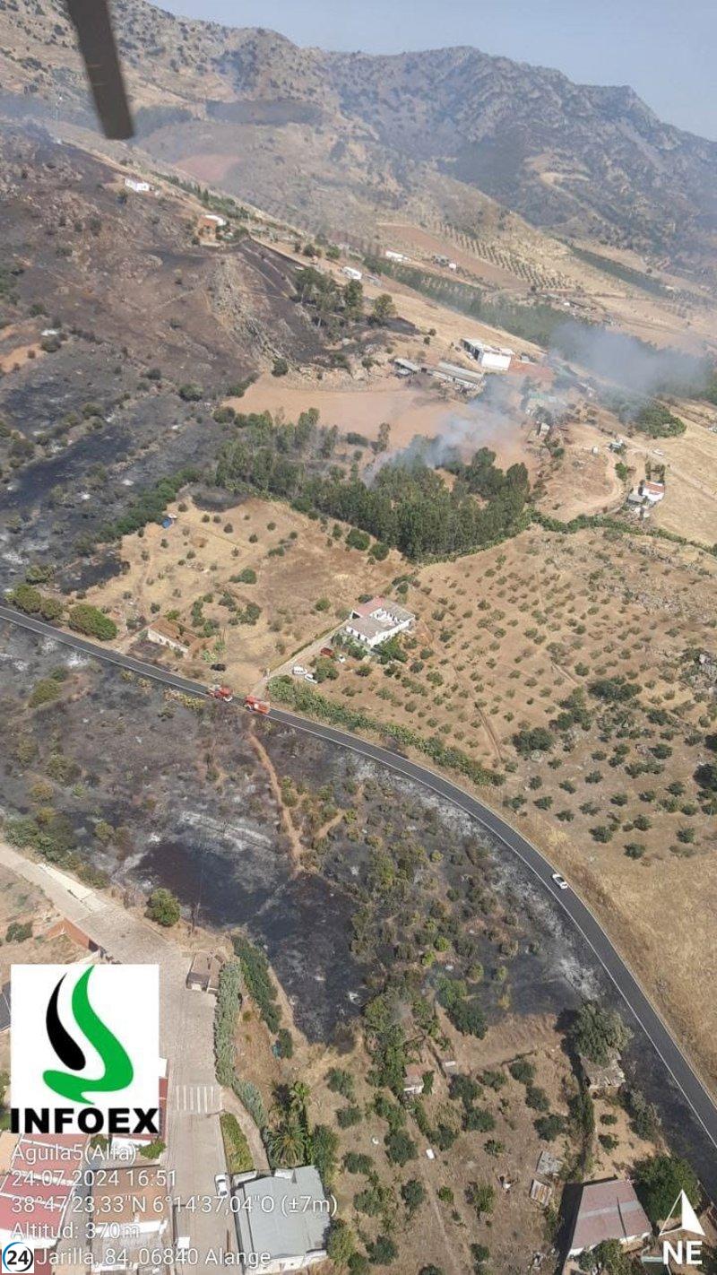 Incendios forestales en Ribera del Fresno, Alange y Puebla del Maestre declarados nivel 1 por el Plan Infoex.