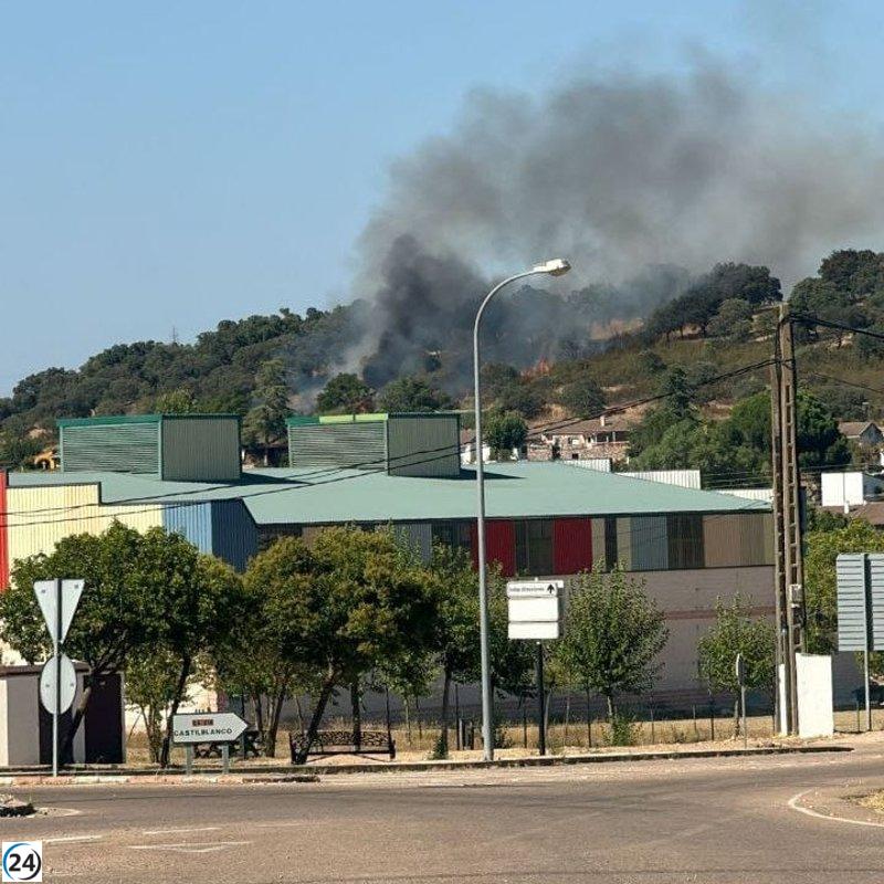 El Infoex controla el fuego en Valdecaballeros.