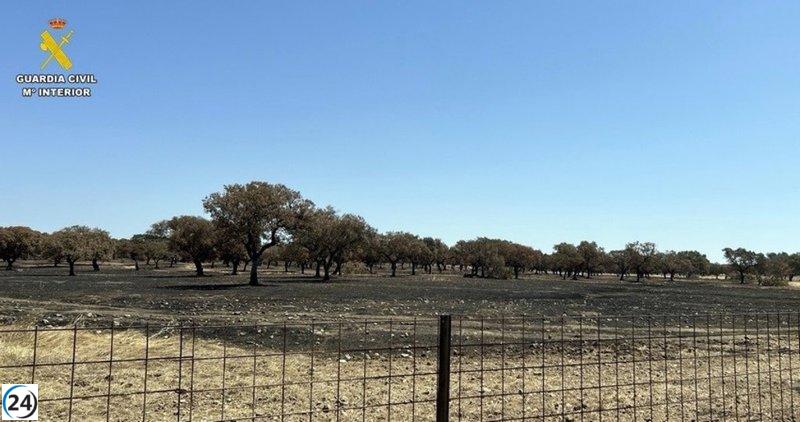 Vecino de Badajoz bajo investigación por causar incendios forestales en 35 hectáreas.