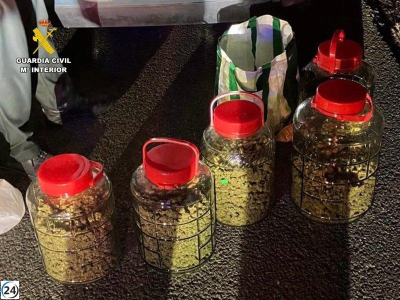 Atrapado contrabandeando marihuana en Trujillo (Cáceres)