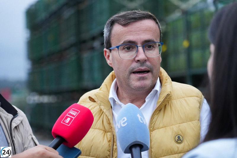 Gallardo del PSOE solicita un plan para mejorar la calidad del olivar de montaña ante la competencia del superintensivo.