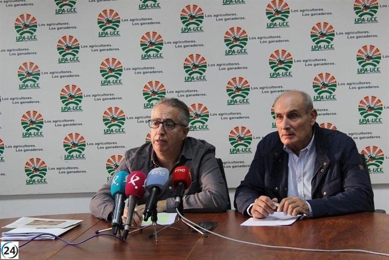 UPA-UCE Extremadura anuncia manifestaciones por falta de medidas contra la lengua azul.