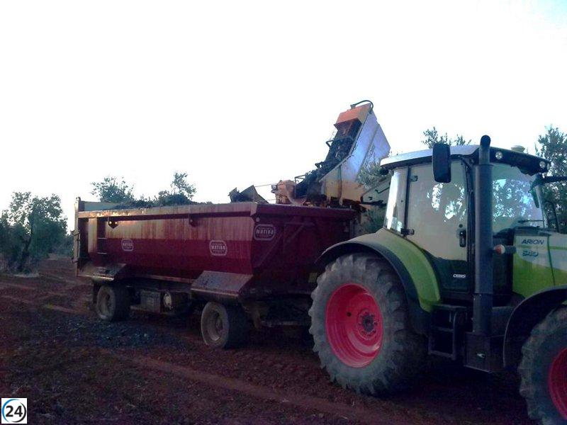 La Comunidad de Labradores y Ganaderos de Almendralejo califica la cosecha de uva en Tierra de Barros como sobresaliente.