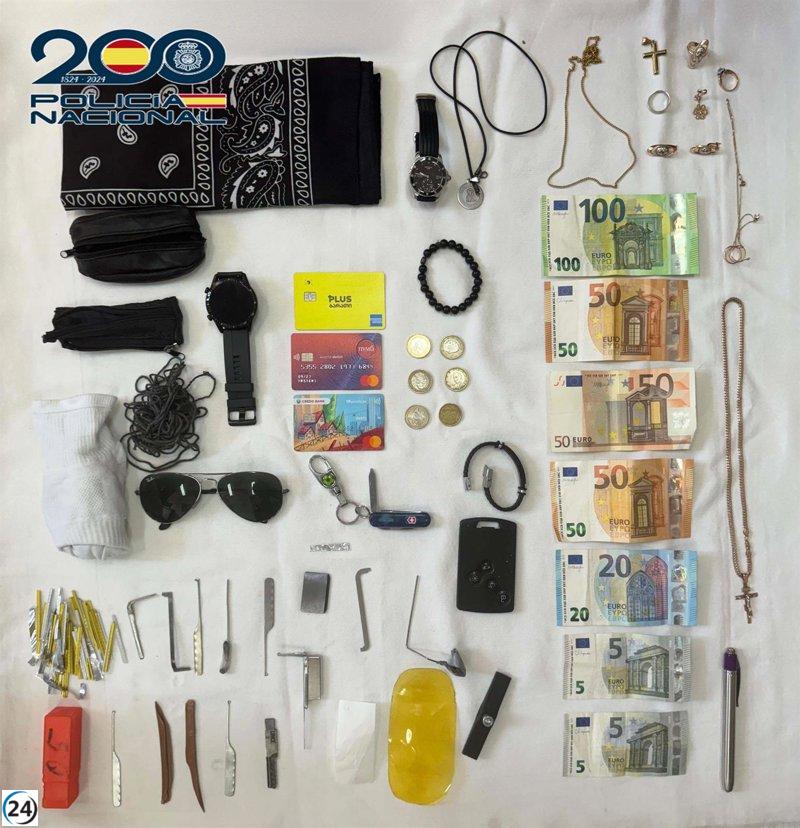 Detenidos dos ladrones en Badajoz gracias a cámaras de seguridad y aviso del propietario.