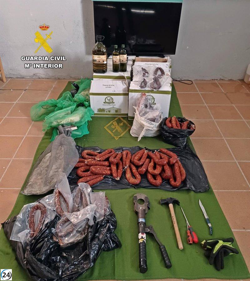 Cuatro detenidos por saqueo en vivienda rural de Puebla de Alcocer.