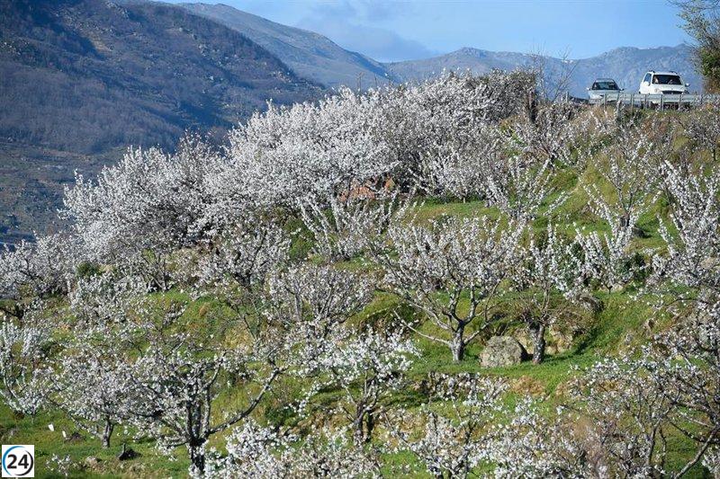 Pronóstico del clima en Extremadura para este lunes, 31 de marzo de 2025.