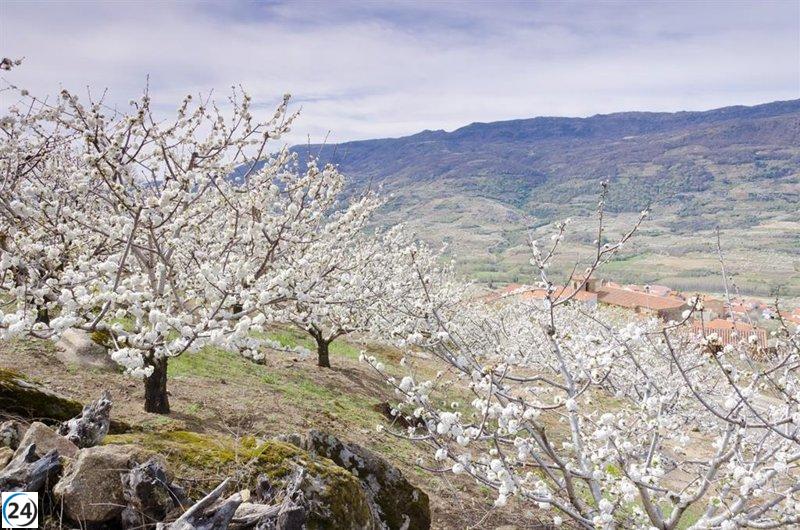 Extremadura presenta su riqueza natural y cultural a medios de Dinamarca y Bélgica.