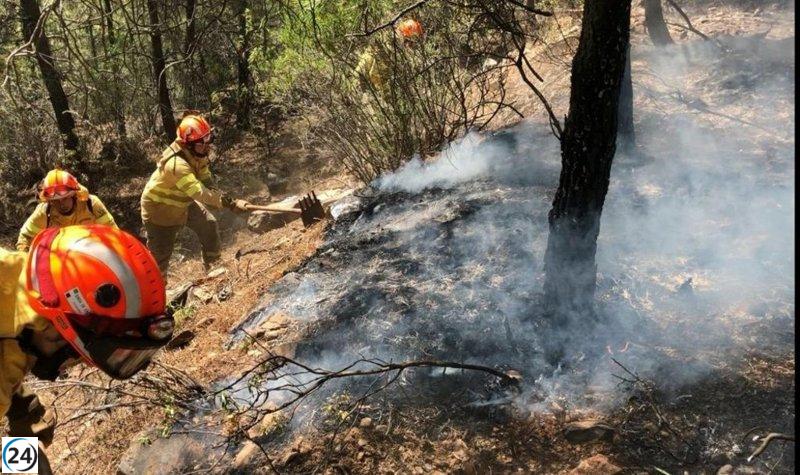 El Infoex combate 41 incendios forestales en una semana, destruyendo 3.000 hectáreas.