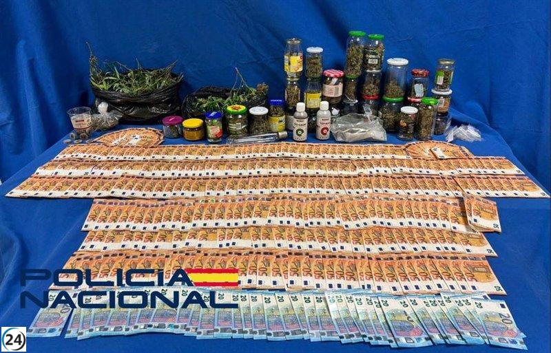 Cae en Mérida el responsable de un invernadero ilegal de marihuana en su hogar.