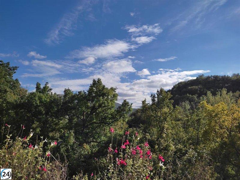 Pronóstico del clima en Extremadura para el domingo, 13 de julio de 2025.