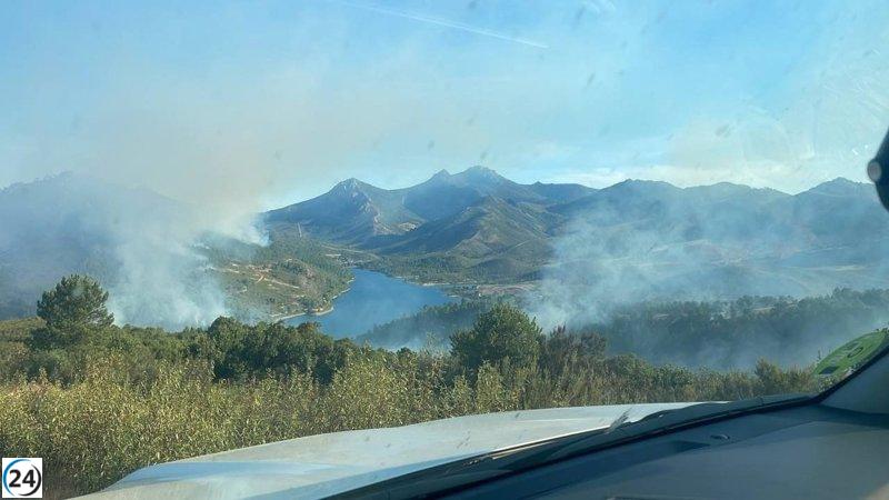 Equipos de Infoex luchan contra incendio forestal en Cañamero.