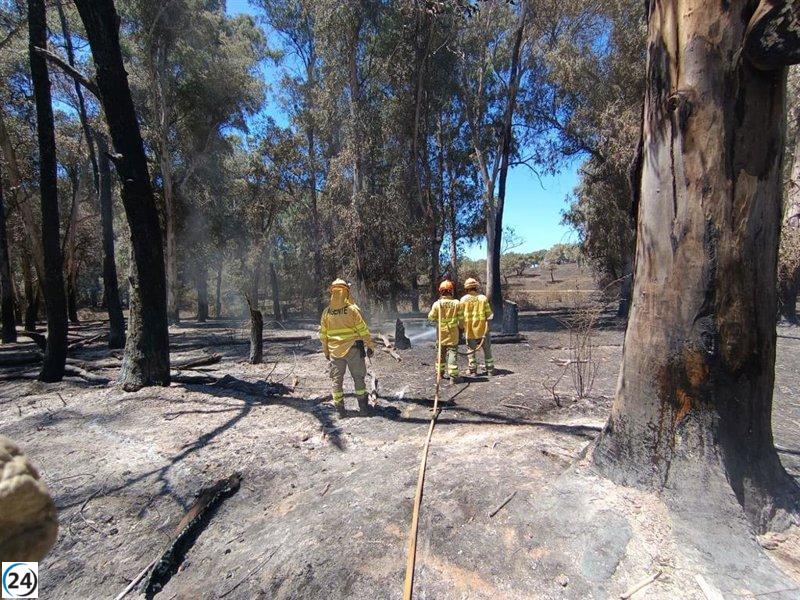 El incendio de Valdecaballeros, bajo control gracias al Plan Infoex.
