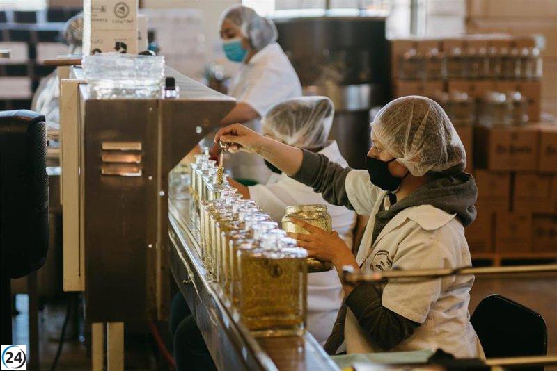 Disminuye el desempleo en Extremadura: 2.600 menos en el segundo trimestre y se generan 21.500 nuevos puestos de trabajo.