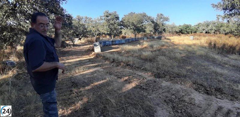 Incendio en Valdecaballeros devasta más de 800 colmenas y amplias extensiones de olivar, reporta UPA-UCE.