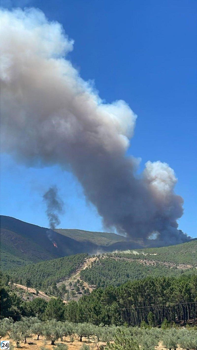 Junta activa el Plan Infocaex en nivel 2 ante incendio en Caminomorisco.