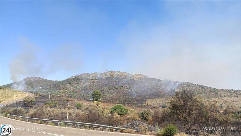 Benquerencia de la Serena: se reduce a nivel 0 la alerta por incendio forestal.