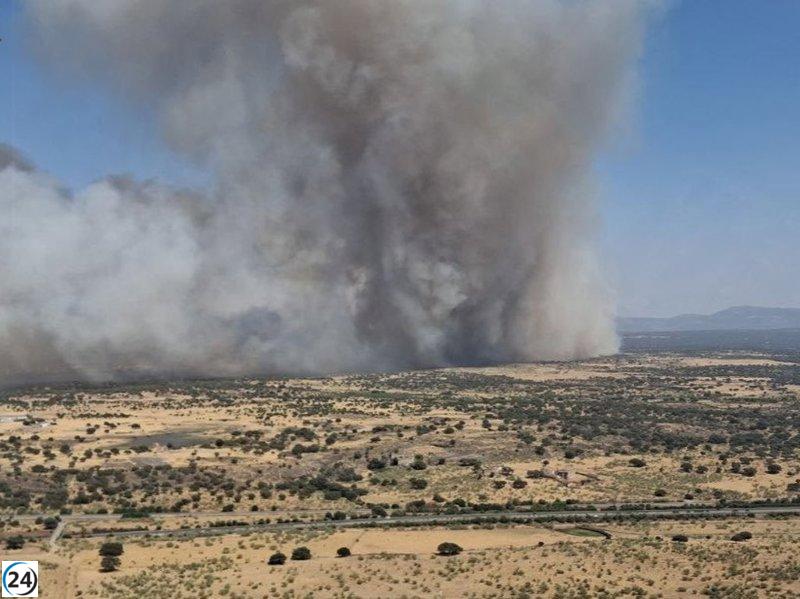 Bomberos de Infoex luchan contra incendio en Torrequemada.