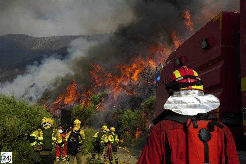 Cerezos ayudan a controlar el incendio en Jarilla, que devastó más de 15.000 hectáreas en una semana.