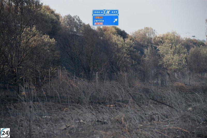 Viento complica labores de extinción en Jarilla; La Garganta en alerta por posibles evacuaciones.