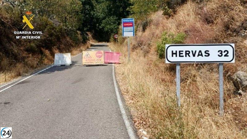 Interrumpido el tráfico en la CC-224 cerca de Hervás por labores de limpieza.