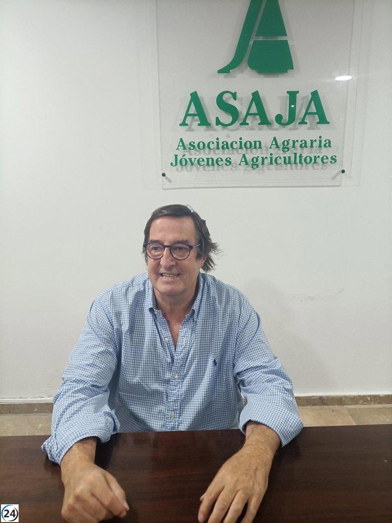 Asaja Extremadura solicita suministro inmediato de paja para el ganado siniestrado por los incendios.