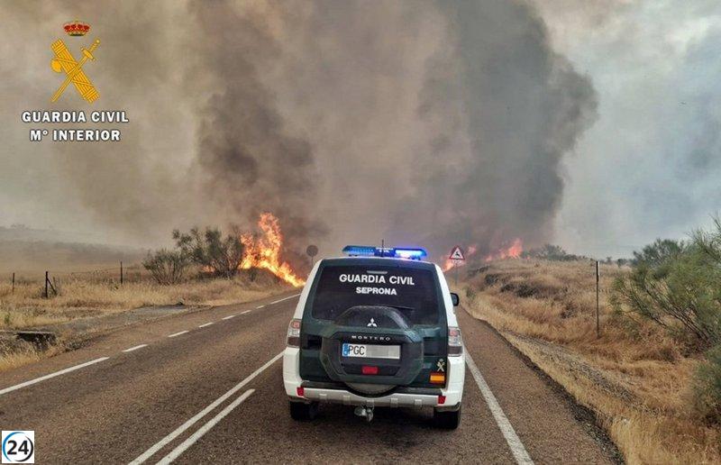 Detenido por provocar un incendio forestal que devastó 1.100 hectáreas en Burguillos del Cerro.