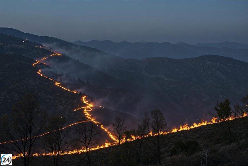 Copernicus informa que en agosto se incendiaron 41,525 hectáreas en Extremadura.