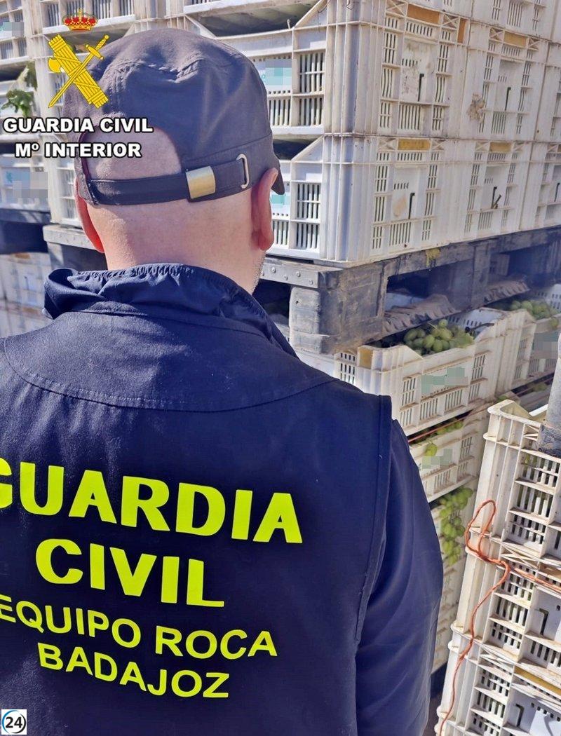 Siete residentes de Badajoz bajo investigación por el robo de más de una tonelada de uvas en Valdebótoa.