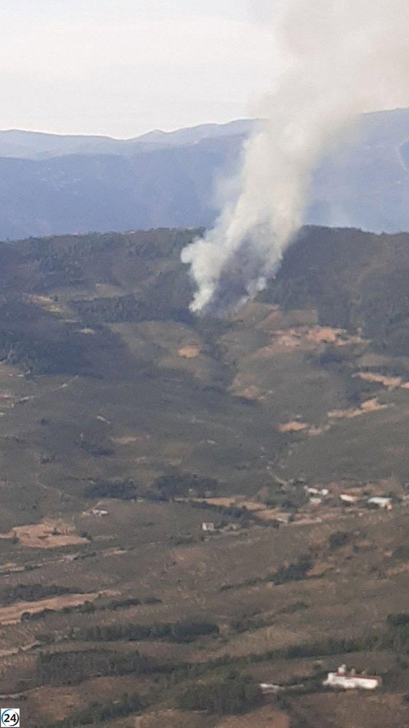 Infoex combate 17 incendios forestales esta semana, arrasando 18 hectáreas.