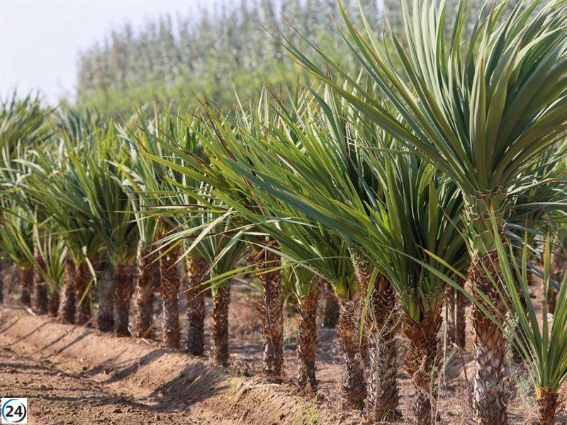 Badajoz lanza su campaña anual de suministro de plantas para embellecer espacios verdes urbanos.