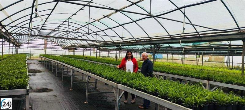 La Diputación de Cáceres distribuye 32,000 plantas decorativas entre 178 localidades.