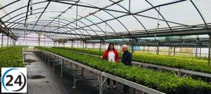 La Diputación de Cáceres distribuye 32,000 plantas decorativas entre 178 localidades.