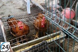 Ocho casos de gripe aviar en aves silvestres en Extremadura, sin impacto en granjas avícolas.
