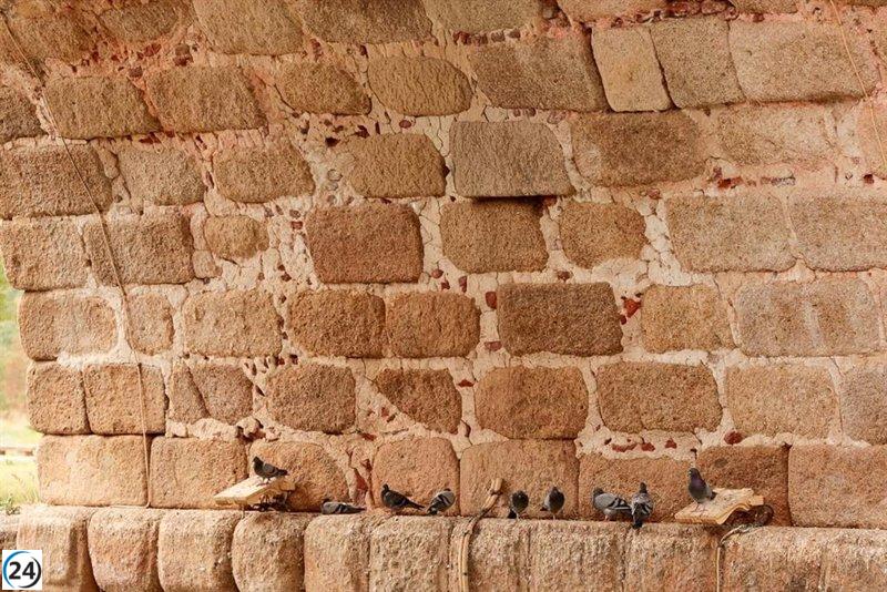 Mérida instalará 20 jaulas en diversas áreas para regular la población de palomas.