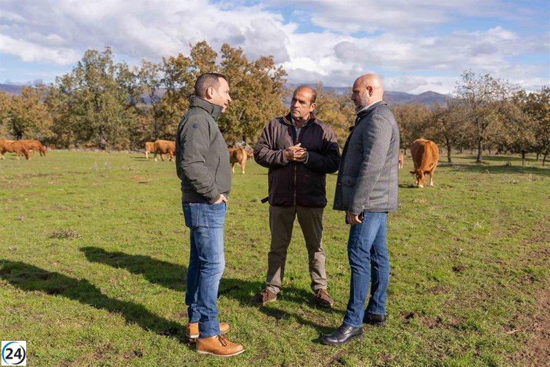 Rodrigo Alonso (Vox) exige a Guardiola que aclare su apoyo al Pacto Verde.