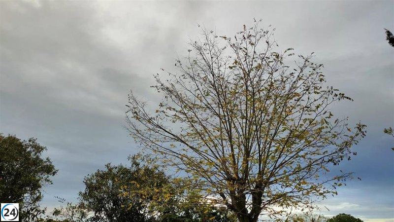 Pronóstico del clima en Extremadura, miércoles 17 de diciembre de 2025.