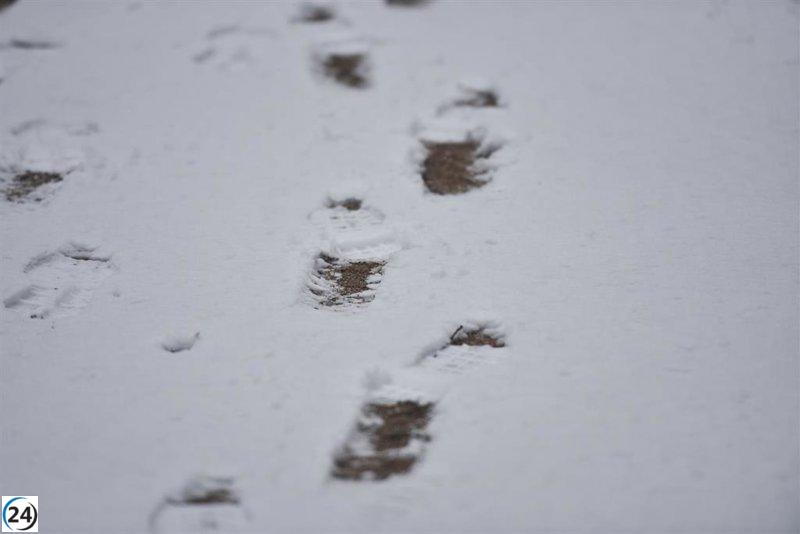 Blanco y cerrado: Puerto de Honduras paralizado por la nieve.