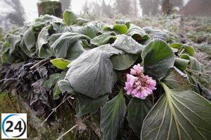 Clima en Extremadura: Predicciones para el sábado 27 de diciembre de 2025.
