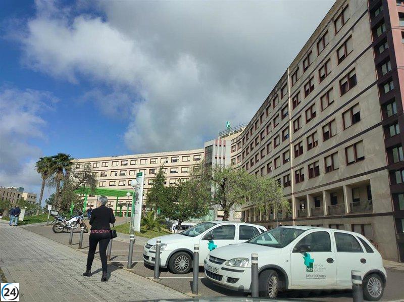 Mujer de 65 años sufre graves heridas tras ser atropellada en Mérida.