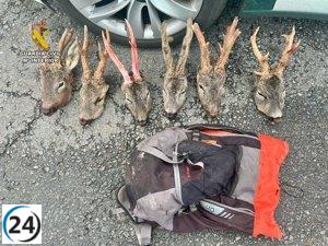 Detienen en Trujillo a dos hombres de Huelva por lanzar una mochila con seis cabezas de corzo desde su vehículo.