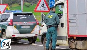 Siete arrestos y 37 bajo investigación por irregularidades en la higiene del transporte animal en Cáceres.