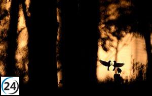 Monfragüe: Epicentro del turismo ornitológico este fin de semana.