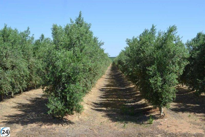 La Junta de Extremadura otorga 4,1 millones en ayudas agroambientales a más de mil beneficiarios.