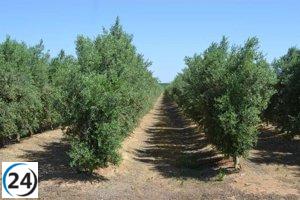 La Junta de Extremadura otorga 4,1 millones en ayudas agroambientales a más de mil beneficiarios.