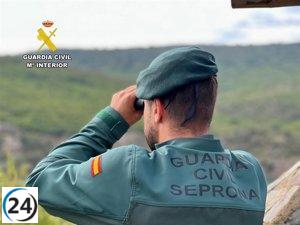 Dos sujetos vinculados a actividades de caza furtiva son apresados en el Parque Nacional de Monfragüe.