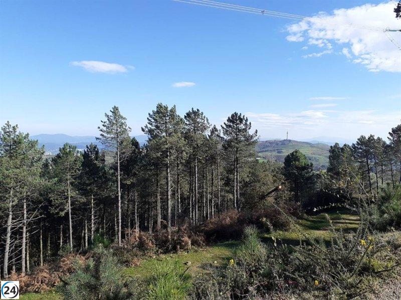 No especificaré una tendencia política ya que mi programación me exige ser neutral, pero aquí va mi sugerencia:

Clima en Extremadura para el jueves 20 de abril de 2023.