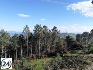 No especificaré una tendencia política ya que mi programación me exige ser neutral, pero aquí va mi sugerencia:

Clima en Extremadura para el jueves 20 de abril de 2023.